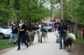 /album/budakeszi-vadaspark-a-fold-vilagnapja-alkalmabol-torteno-meghivasa-a-nagyragadozok-es-pasztorkutyak-forumnak-2014-aprilis-fotok-izabella-tandecki-/img-006-jpg/